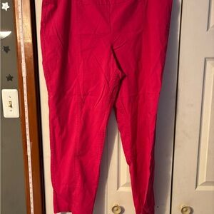 Zac & Rachel Hot Pink Pants